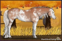 Horse Color:Silver Bay Sabino
