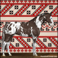 Horse Color:White Spotted Liver Chestnut Splash Appaloosa