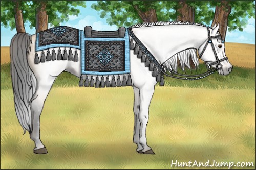 Horse Color:Gray Buckskin Dun 