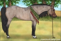 Horse Color:Bay Roan Dun 