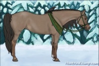 Horse Color:Liver Red Dun Roan 