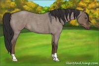 Horse Color:Liver Red Dun Roan 