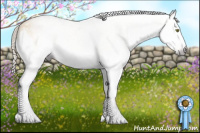 Horse Color:Gray Gold Cream Champagne Onyx Sabino Splash Rabicano 
