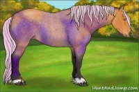 Horse Color:Painted Silver Buckskin Roan 