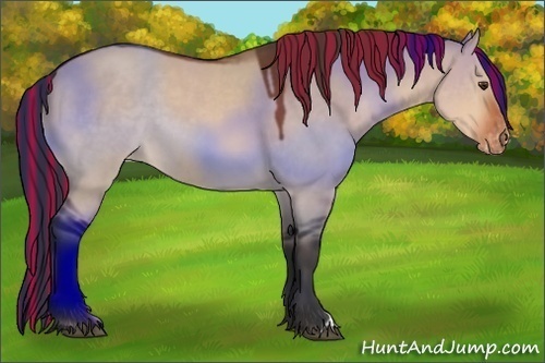 Horse Color:Painted Bay Dun Appaloosa 