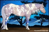 Horse Color:Platinum Watercolor White Spotted Silver Bay Dun Rabicano