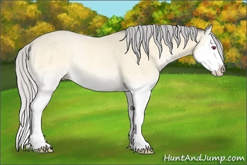 Horse Color:Silver Amber Cream Champagne Chinchilla Roan Onyx Splash Rabicano 