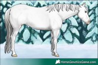 Horse Color:White Spotted Liver Chestnut Sabino Snowcap Rabicano 