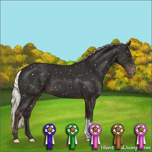 Horse Color:Liver Chestnut Mushroom Snowflake Varnish