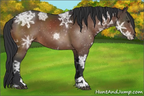 Horse Color:Brown Ice Sabino 
