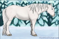 Horse Color:Cremello 