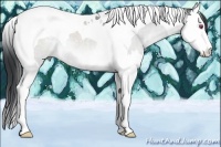 Horse Color:Brown Chinchilla Sabino Splash Tobiano 