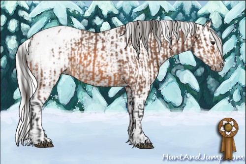 Horse Color:Bay Roan Appaloosa  and Gray Buckskin Appaloosa 