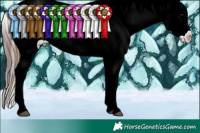 Horse Color:Plaid  White Spotted Chocolate Brown Snowcap 