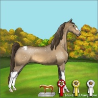 Horse Color:Buckskin Snowcap 