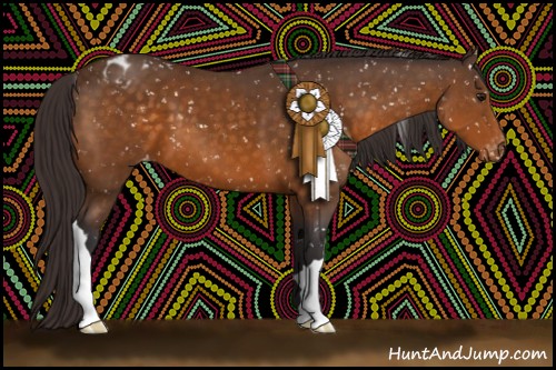 Horse Color:Buckskin Appaloosa