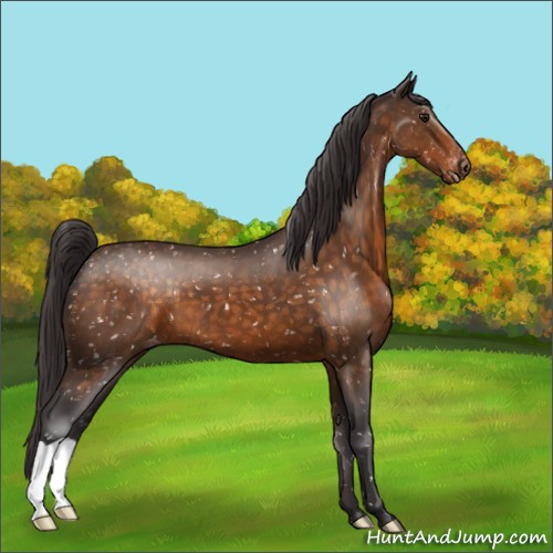 Horse Color:Buckskin Snowflake Varnish