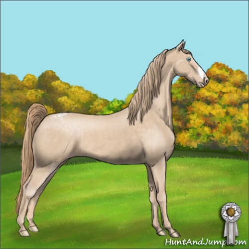 Horse Color:Perlino Appaloosa