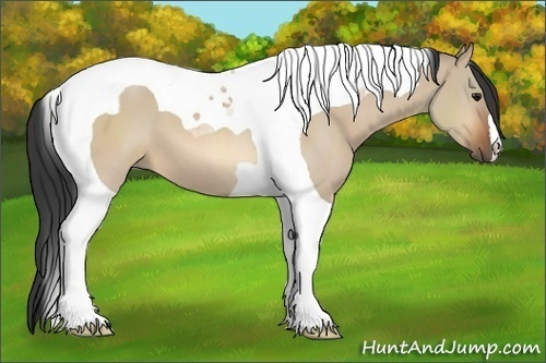 Horse Color:Bay Dun Tobiano 