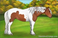 Horse Color:Silver Bay Tobiano 