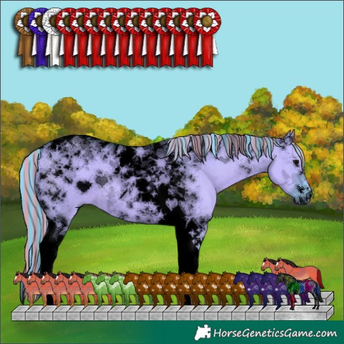 Horse Color:Void Painted Watercolor Grullo Tobiano 