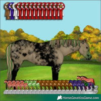 Horse Color:Void Painted Watercolor Grullo Tobiano 