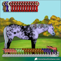 Horse Color:Void Painted Watercolor Grullo Tobiano 
