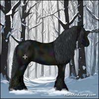 Horse Color:Void Midnight Black