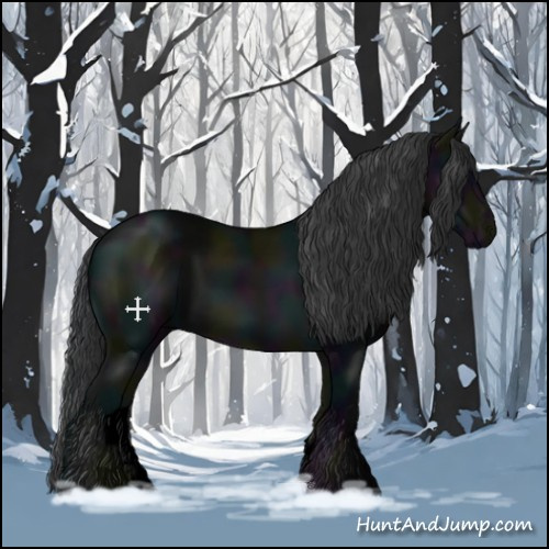 Horse Color:Void Midnight Black 