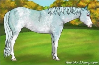 Horse Color:Watercolor White Spotted Silver Classic Champagne Chinchilla Ice 