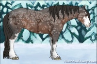 Horse Color:Liver Chestnut Ice Sabino 
