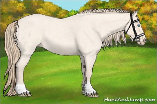 Horse Color:Perlino Roan 
