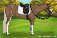 Horse Color:White Spotted Chocolate Palomino 