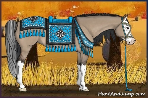 Horse Color:Bay Dun Sabino Splash 