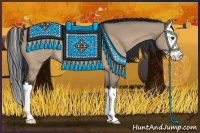 Horse Color:Bay Dun Sabino Splash