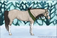 Horse Color:Liver Red Dun Roan Splash Rabicano 