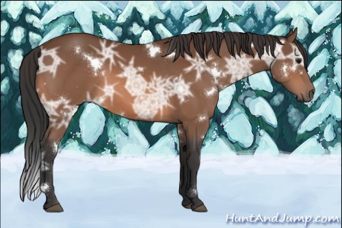 Horse Color:White Spotted Bay Ice 