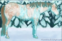 Horse Color:Thunderstruck Gold Champagne Ice Sabino 