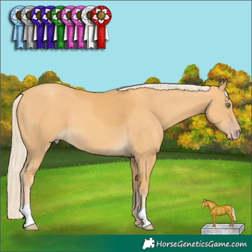 Horse Color:Gold Cream Champagne 