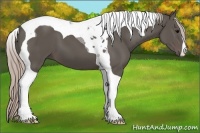 Horse Color:Silver Black Tobiano 