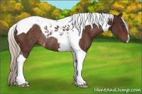 Horse Color:Silver Brown Tobiano Rabicano 