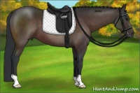 Horse Color:Brown 