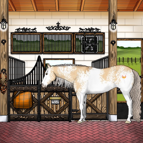 Horse Color:White Spotted Silver Buckskin Dun 