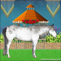 Horse Color:White Spotted Blue Roan Rabicano  and White Spotted Silver Blue Roan Rabicano 