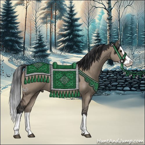 Horse Color:Brown Dun Sabino Splash 