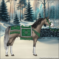 Horse Color:Brown Dun Sabino Splash