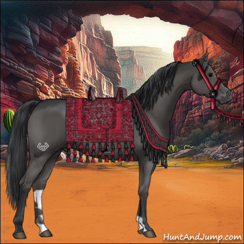 Horse Color:Grullo Brindle 