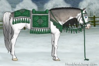 Horse Color:Brown Roan Dun Splash 