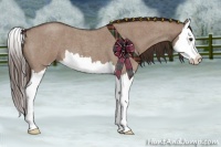 Horse Color:Liver Red Dun Roan Splash 