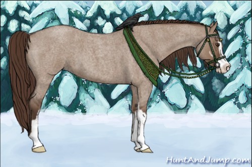 Horse Color:Liver Red Dun Roan Sabino 